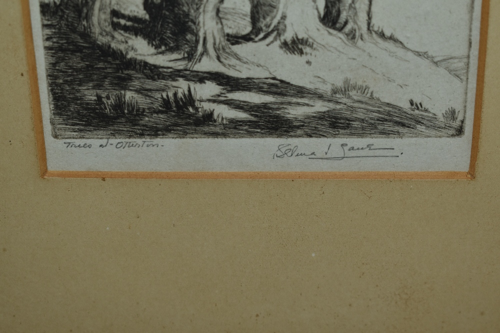 Selma Lane (19th/20th Century), etching, 'Trees at Otterton', signed to the lower right, framed, - Image 4 of 6