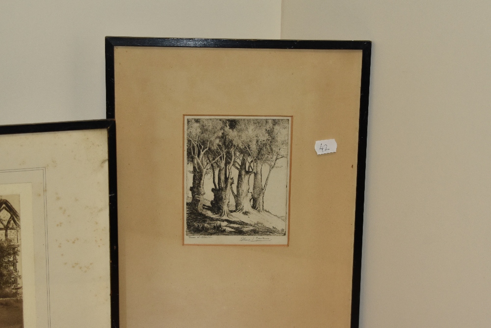 Selma Lane (19th/20th Century), etching, 'Trees at Otterton', signed to the lower right, framed, - Image 3 of 6