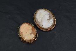 Two conch shell cameo brooches depicting maidens in profile within decorative 9ct gold surrounds