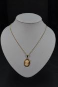 A conch shell cameo pendant in a 9ct gold mount on a yellow metal chain, approx 18' & 6.2g gross