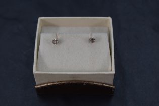 A pair of champagne diamond solitaire stud earrings, each stone approx 0.125ct in 14ct white gold