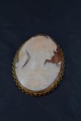 A large conch shell cameo brooch depicting a maiden in profile in a decorative 9ct gold mount