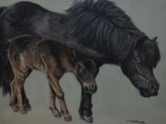 Dave Toyne (20th Century School), pastel, Fell pony and foal, signed and dated 2001 to the lower
