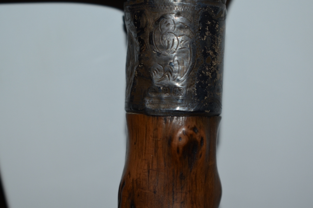 A vintage walking cane, having partial burr wood shaft, with hallmarked silver cuff (worn) and - Image 3 of 3