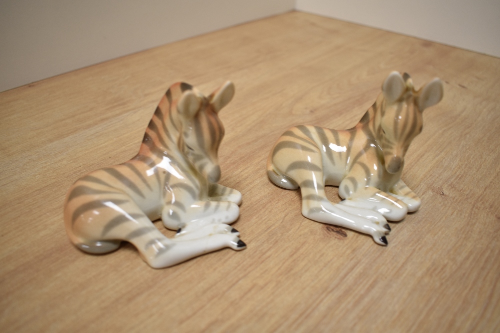 A pair of USSR Russian Lomonosov porcelain animal figures, formed as zebra foals laying down, one