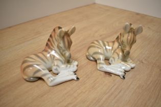 A pair of USSR Russian Lomonosov porcelain animal figures, formed as zebra foals laying down, one