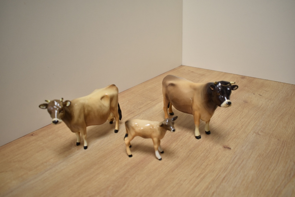 A Beswick Pottery Jersey Cow family, comprising Jersey Bull Ch 'Dunsley Coy Boy' model 1422, Cow