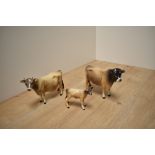 A Beswick Pottery Jersey Cow family, comprising Jersey Bull Ch 'Dunsley Coy Boy' model 1422, Cow