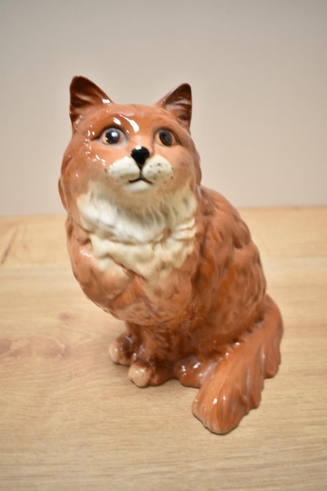 A Beswick Pottery Persian Cat study, seated looking up, number 1867, designed by Albert Hallam in