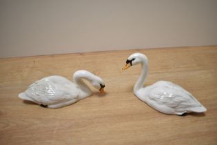 Two Beswick Pottery swan studies, model number 1684 (head up) ad 1685 (head down) both designed by