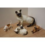 A Beswick Pottery Siamese cat study 1897 desgined by Albert Hallam in seal point gloss, 16cm sold