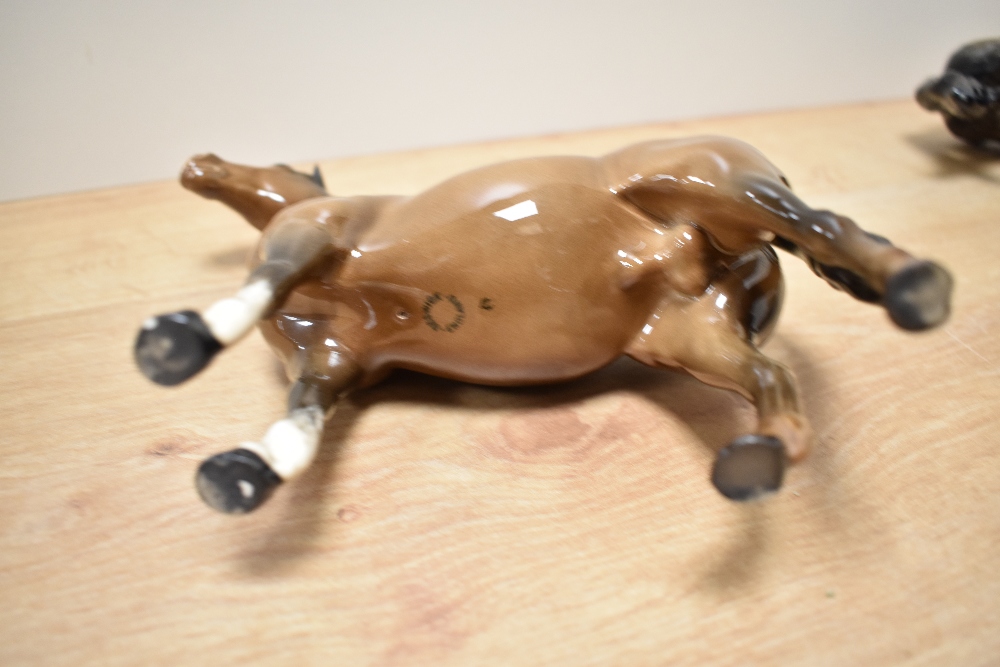 A Beswick Pottery Huntsman on Rearing Horse, model number 868, style two, designed by Arthur - Image 5 of 5