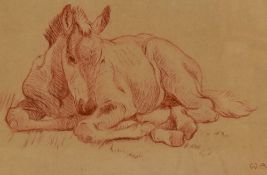 Winifred Austen (1876-1964, British), sanguine drawing, Study of a foal, initials to the lower