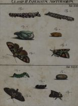 After August Johann Rosel von Rosenhof (1705-1759, Dutch), coloured prints, Six illustrations for
