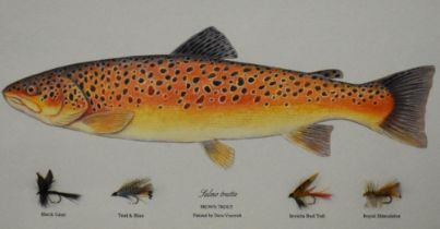 After Dave Voorvelt (b.1947, South African), coloured print, Brown Trout above a display of