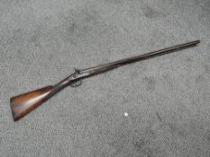 A double barrel percussion Sporting Gun, lock plate marked G Forrest Jedburgh, ram rod, chequered