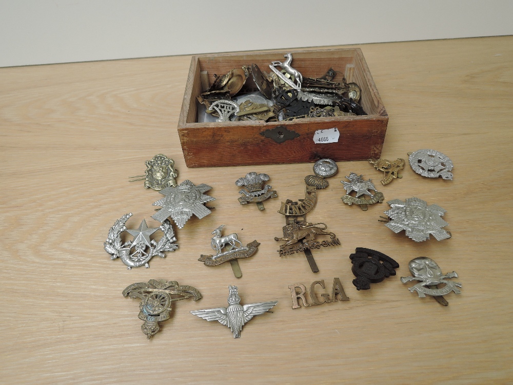 A collection of Army/Military Cap Badges along with a small collection of Coins