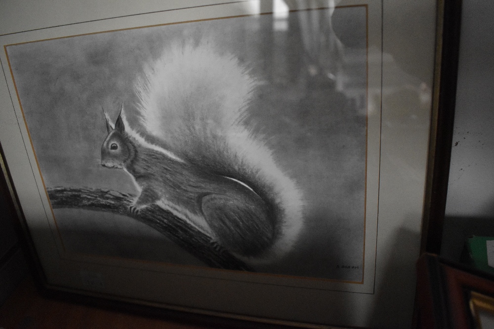 A print after R Byram of a grey squirrel.