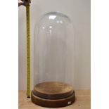 A late 19th/early 20th Century glass display dome raised upon a stepped oak base, measuring 70cm
