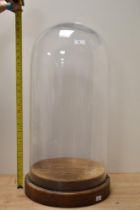 A late 19th/early 20th Century glass display dome raised upon a stepped oak base, measuring 70cm