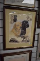 After Nigel Hemming Two 20th century coloured prints, Labradors and Spaniels, mounted framed and