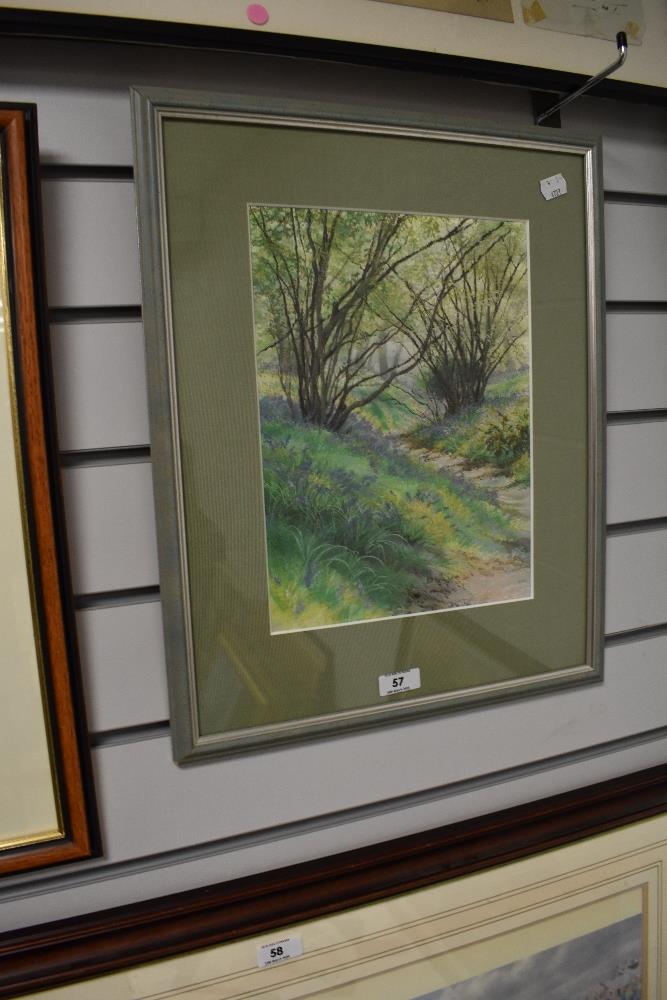 Jill Draper DIP AD polychrome embroidery, Woodland Path in Spring, mounted framed and glazed 47cm