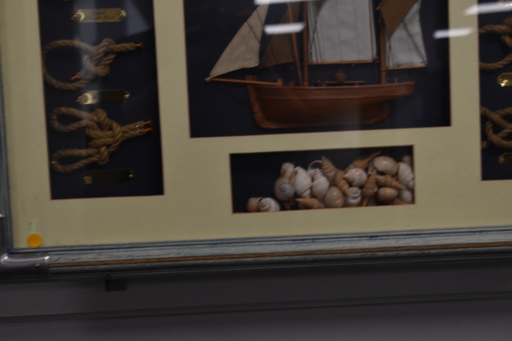 A decorative nautical themed box frame display, with small central half model boat, knot examples - Image 4 of 5