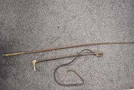 A horn handled carriage whip and a cane