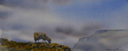 *Local Interest - Andrew G. Storrie (20th Century, British), watercolour, 'Ingleborough', signed