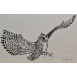 20th Century School, pen and ink, A swooping owl, signed K.Dyson and dated '86 to the lower right,