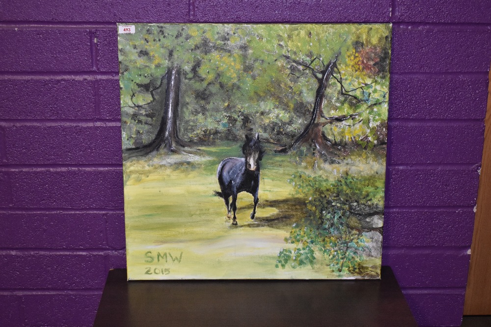 Contemporary, oil on canvas, A horse in field, initials to the lower right, SMW 2015, measuring 61cm - Image 2 of 4