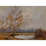 20th Century School, oil on board, An attractive countryside landscape with small lake to the