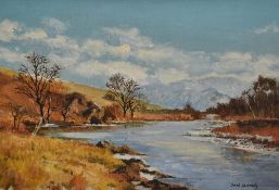 Derek Kennedy (20th Century), oil on board, An autumnal Highland landscape with river to the centre,