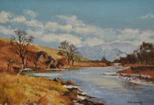 Derek Kennedy (20th Century), oil on board, An autumnal Highland landscape with river to the centre,