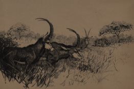 Roy Woodhouse (20th Century, British), etching, Sable Antelopes, signed to the mount, framed,