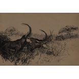 Roy Woodhouse (20th Century, British), etching, Sable Antelopes, signed to the mount, framed,