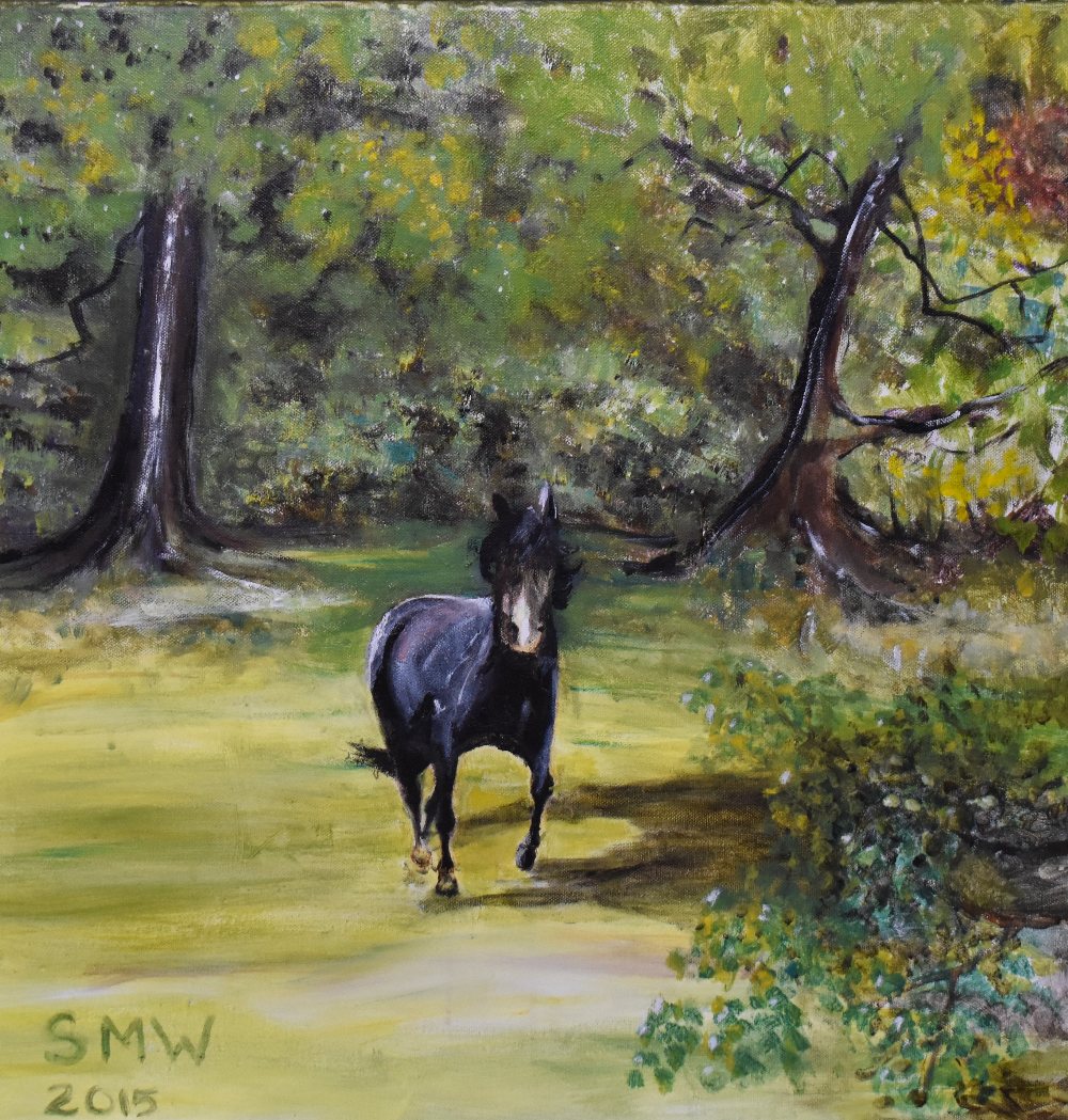 Contemporary, oil on canvas, A horse in field, initials to the lower right, SMW 2015, measuring 61cm