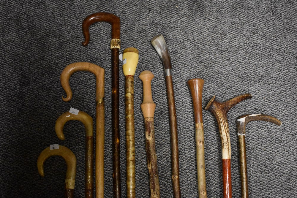 An assortment of walking canes and staffs, some with horn handles. - Image 3 of 3