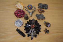 An assortment of costume brooches, including a large stags head, a Celtic knot motif example,