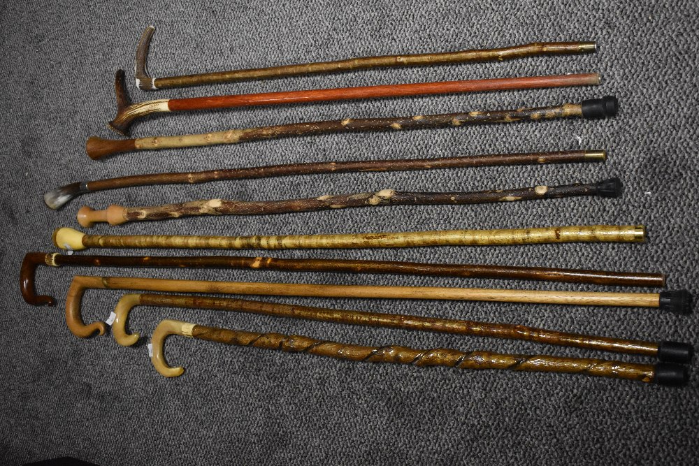 An assortment of walking canes and staffs, some with horn handles.