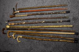 An assortment of walking canes and staffs, some with horn handles.