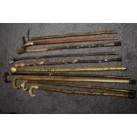 An assortment of walking canes and staffs, some with horn handles.