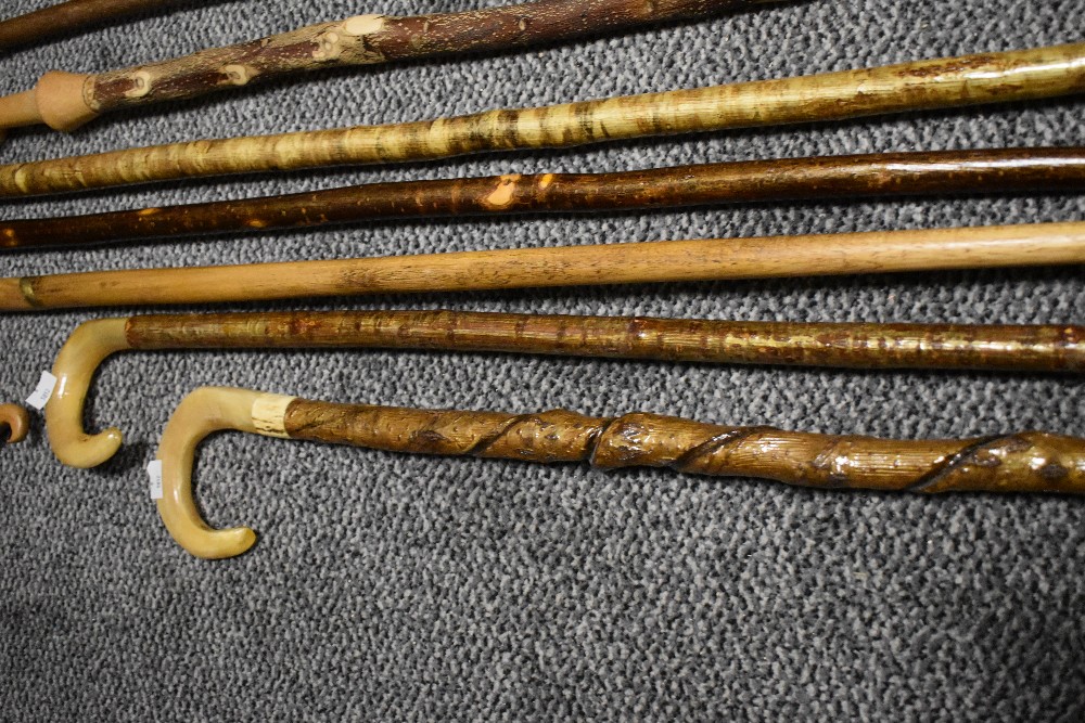 An assortment of walking canes and staffs, some with horn handles. - Image 2 of 3