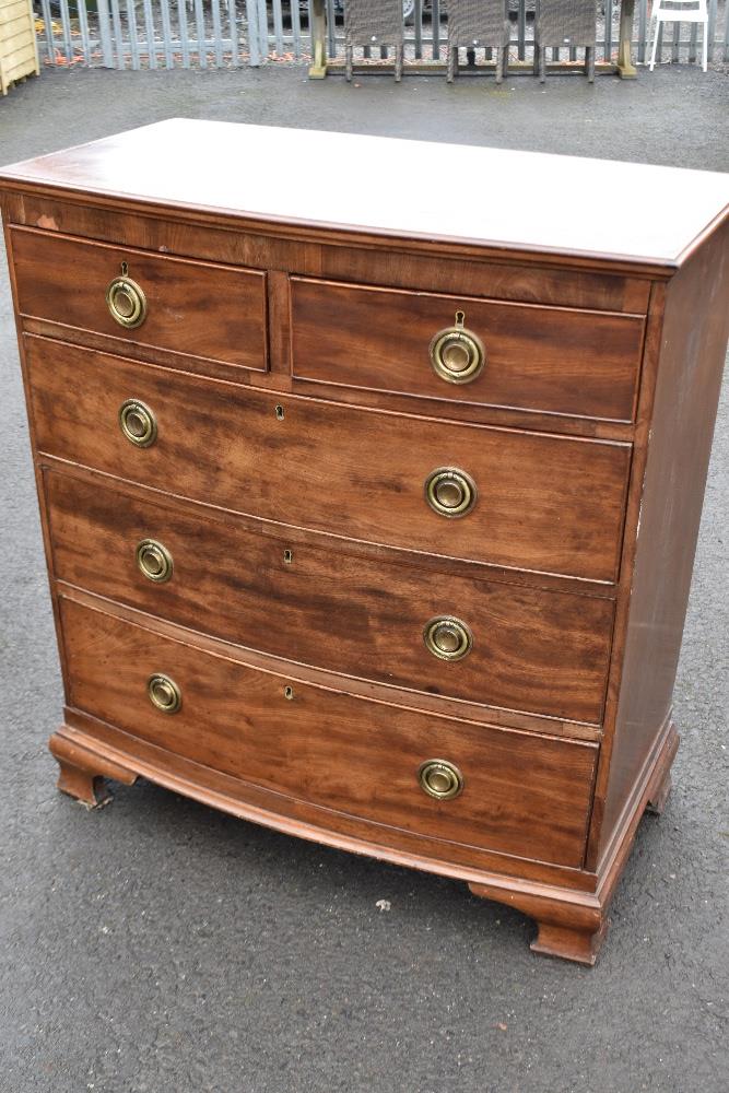 A 19th Century mahogany chest of two over three drawers, with bow front and Regency style brass