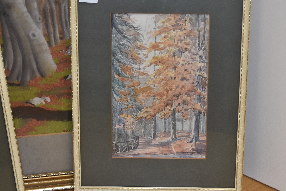 Chris Chadwick (20th Century, British), pastels, A pair of autumnal woodland studies titled 'Rusland - Image 3 of 6