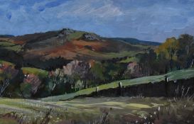 *Local Interest - D.Whitehead (20th Century, British), oil on board, 'Valley of Desolation',