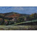 *Local Interest - D.Whitehead (20th Century, British), oil on board, 'Valley of Desolation',