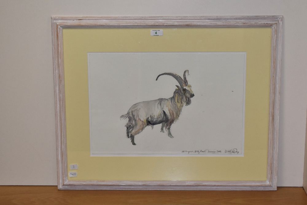 Dido Crosby (b.1961, British), watercolour, 'Old English Billy Goat', signed and dated 2002 to the - Bild 2 aus 5