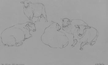 Dido Crosby (b.1961, British), pencil on paper, 'Tups Resting, Pett, East Sussex', signed to the