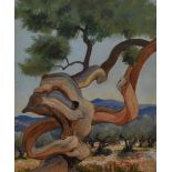 20th Century School, mixed media, A contorted desert tree, framed, mounted, and under glass,